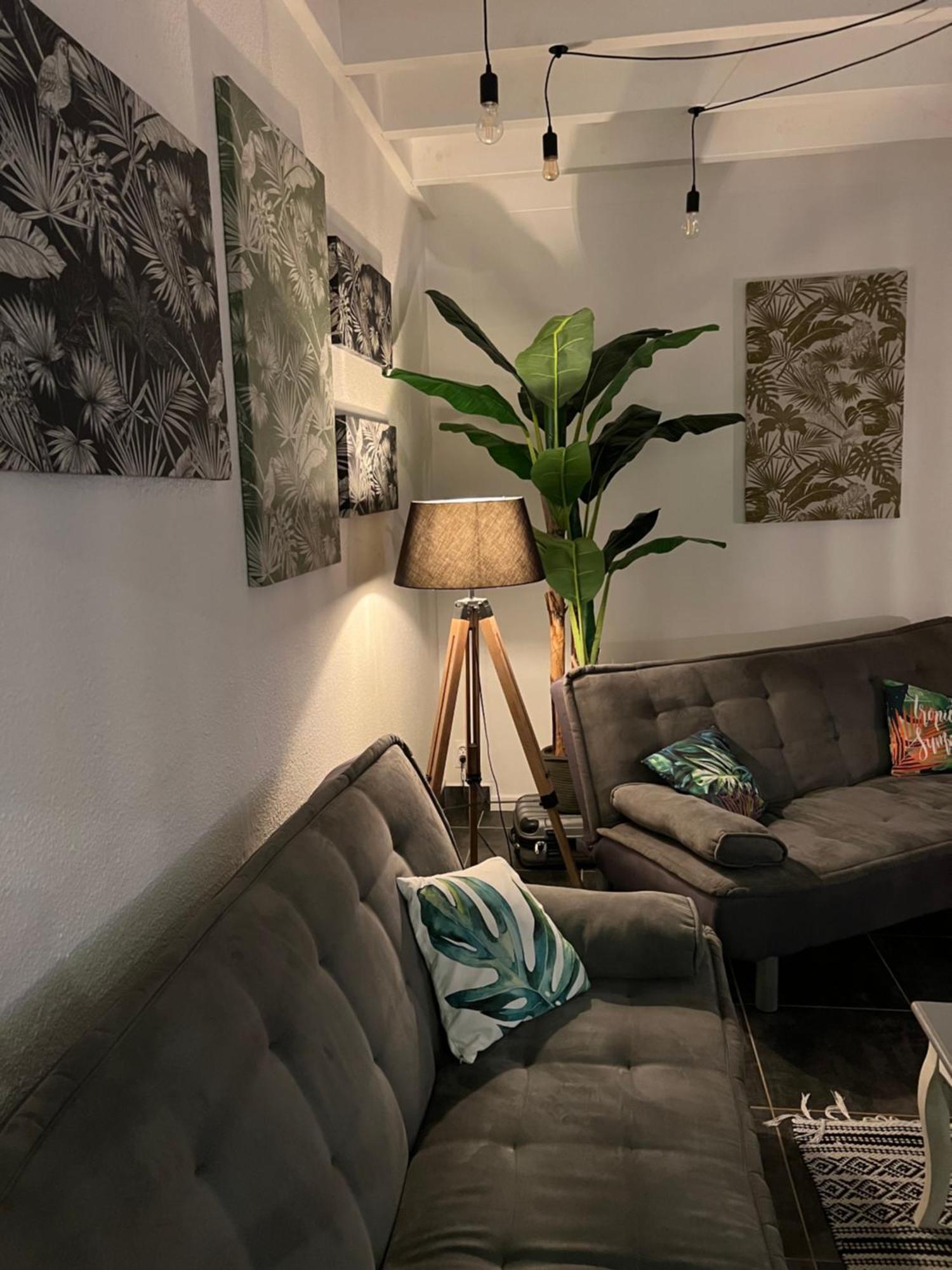 Appartement Spacieux Au Village Du Flamboyant Baie Nettle 外观 照片